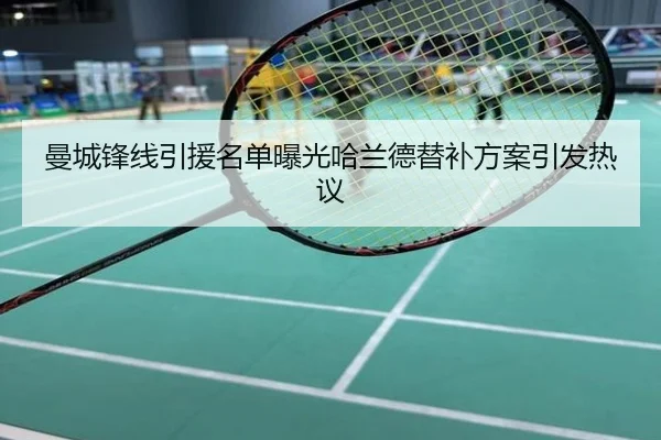 曼城锋线引援名单曝光哈兰德替补方案引发热议
